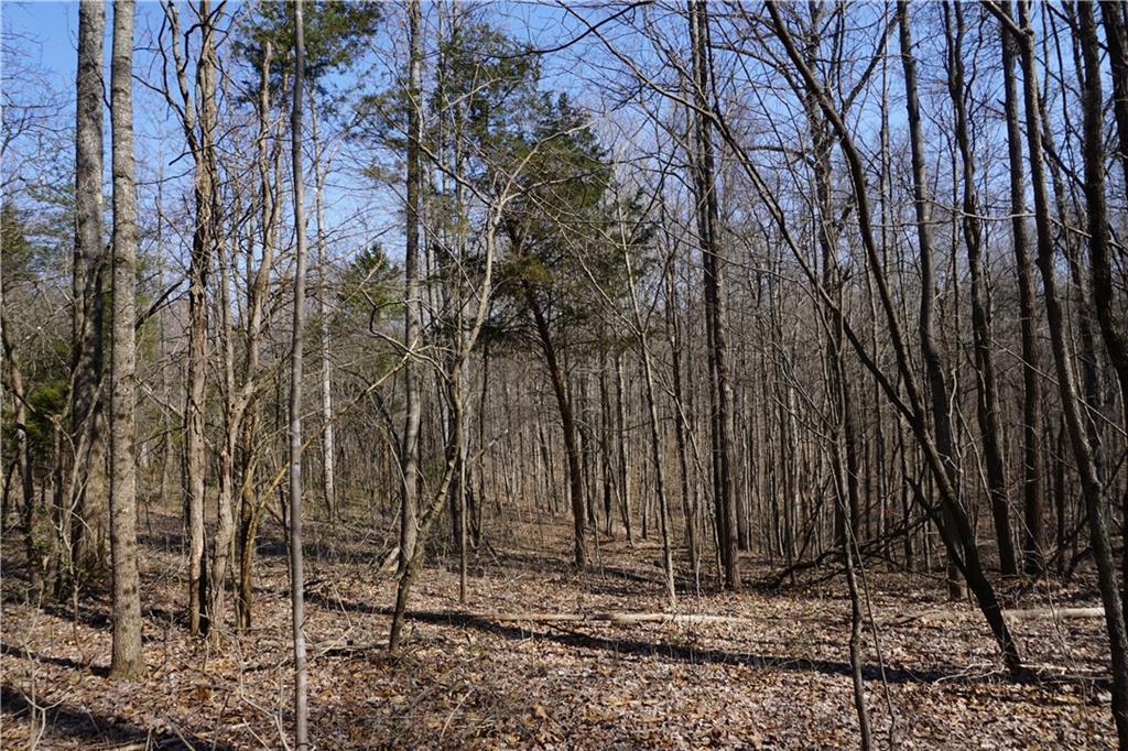 0 North Crossover Road Bloomington, IN 47404 - Photo 41 of 46