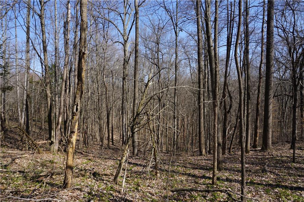 0 North Crossover Road Bloomington, IN 47404 - Photo 42 of 46