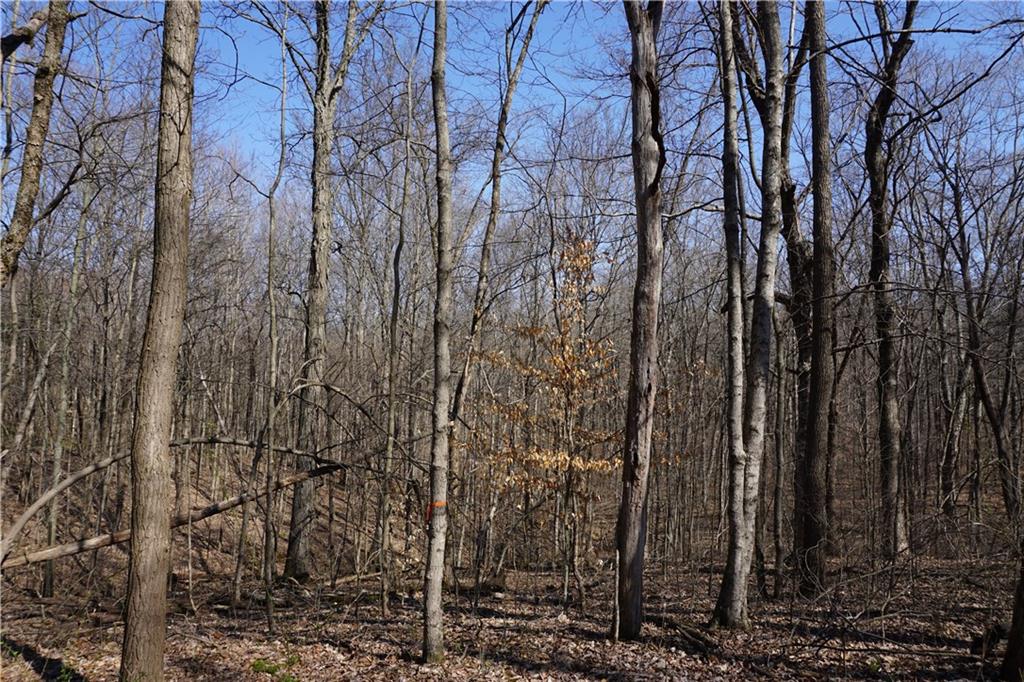 0 North Crossover Road Bloomington, IN 47404 - Photo 45 of 46