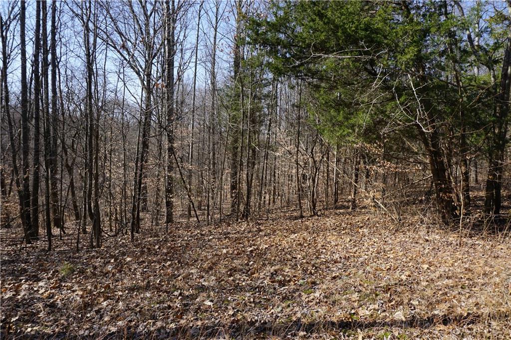 0 North Crossover Road Bloomington, IN 47404 - Photo 6 of 46