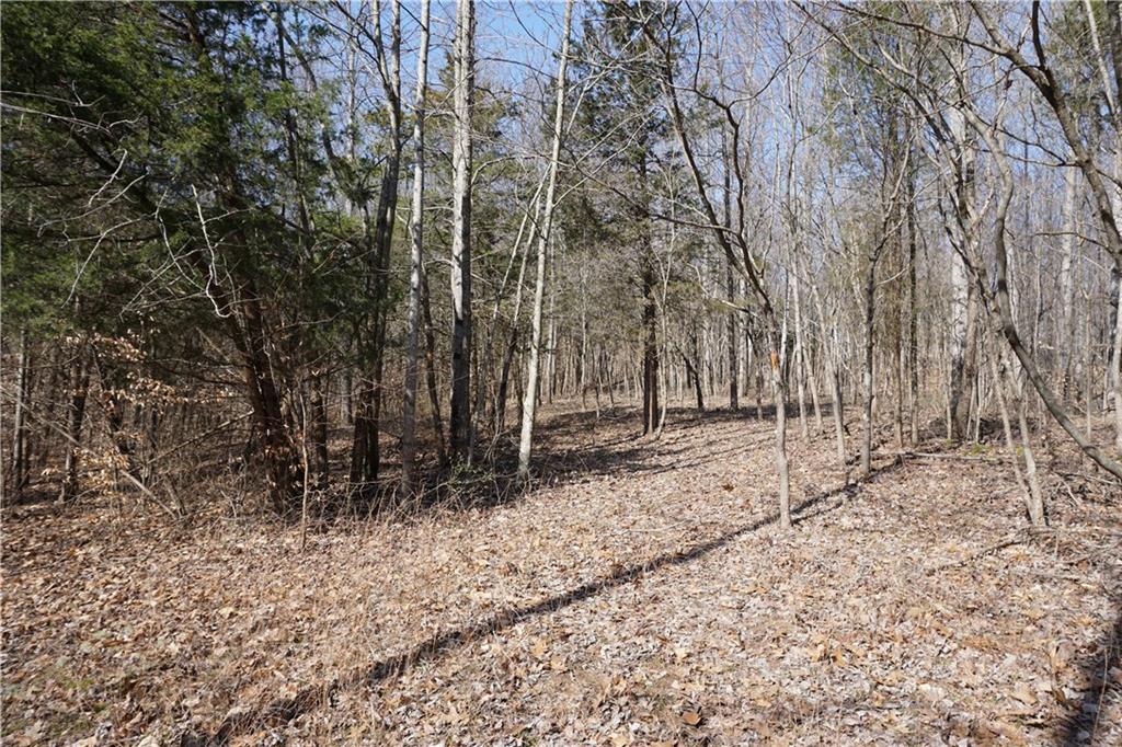 0 North Crossover Road Bloomington, IN 47404 - Photo 7 of 46