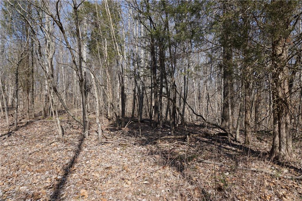 0 North Crossover Road Bloomington, IN 47404 - Photo 8 of 46