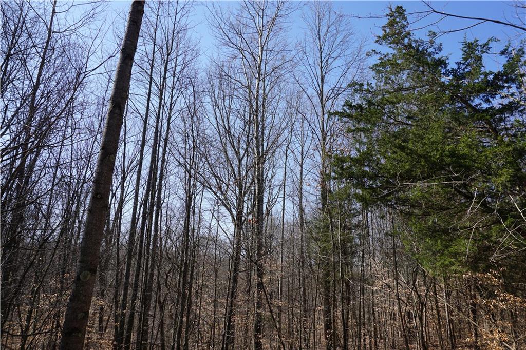 0 North Crossover Road Bloomington, IN 47404 - Photo 10 of 46