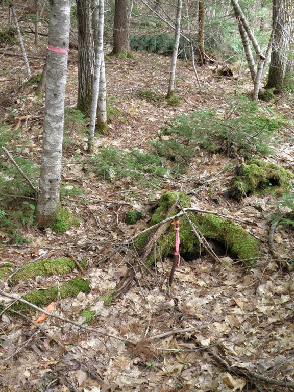 Lot 5 Oak Point Road Greenbush, ME 04418 - Photo 6 of 11 Photo