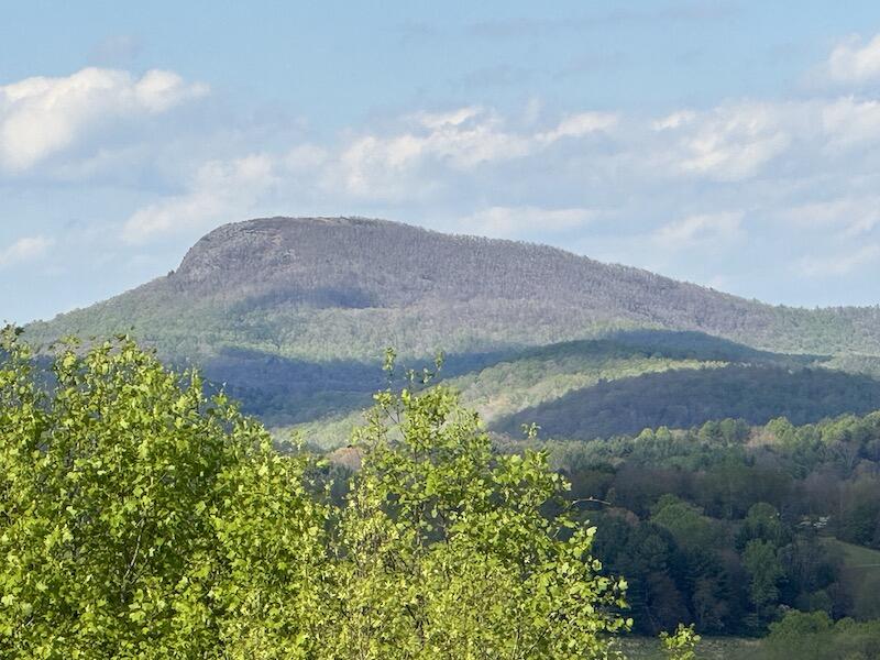 908 Laurel Fork Road Laurel Fork, VA 24352 - Photo 69 of 69 IMG_4623
