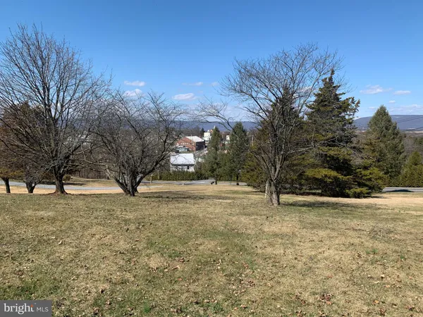 a view of a backyard of the house
