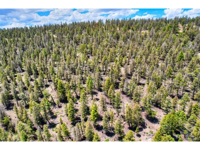 $79,000 | 262 Middle Fork Vista, Fairplay, CO 80440