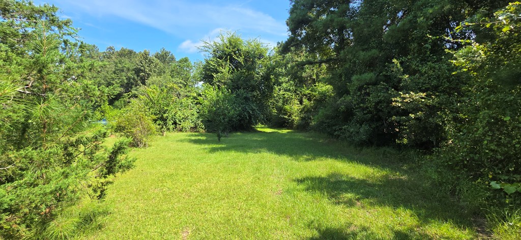 4739 Wallace Buie Road Columbia, AL 36319 - Photo 13 of 54