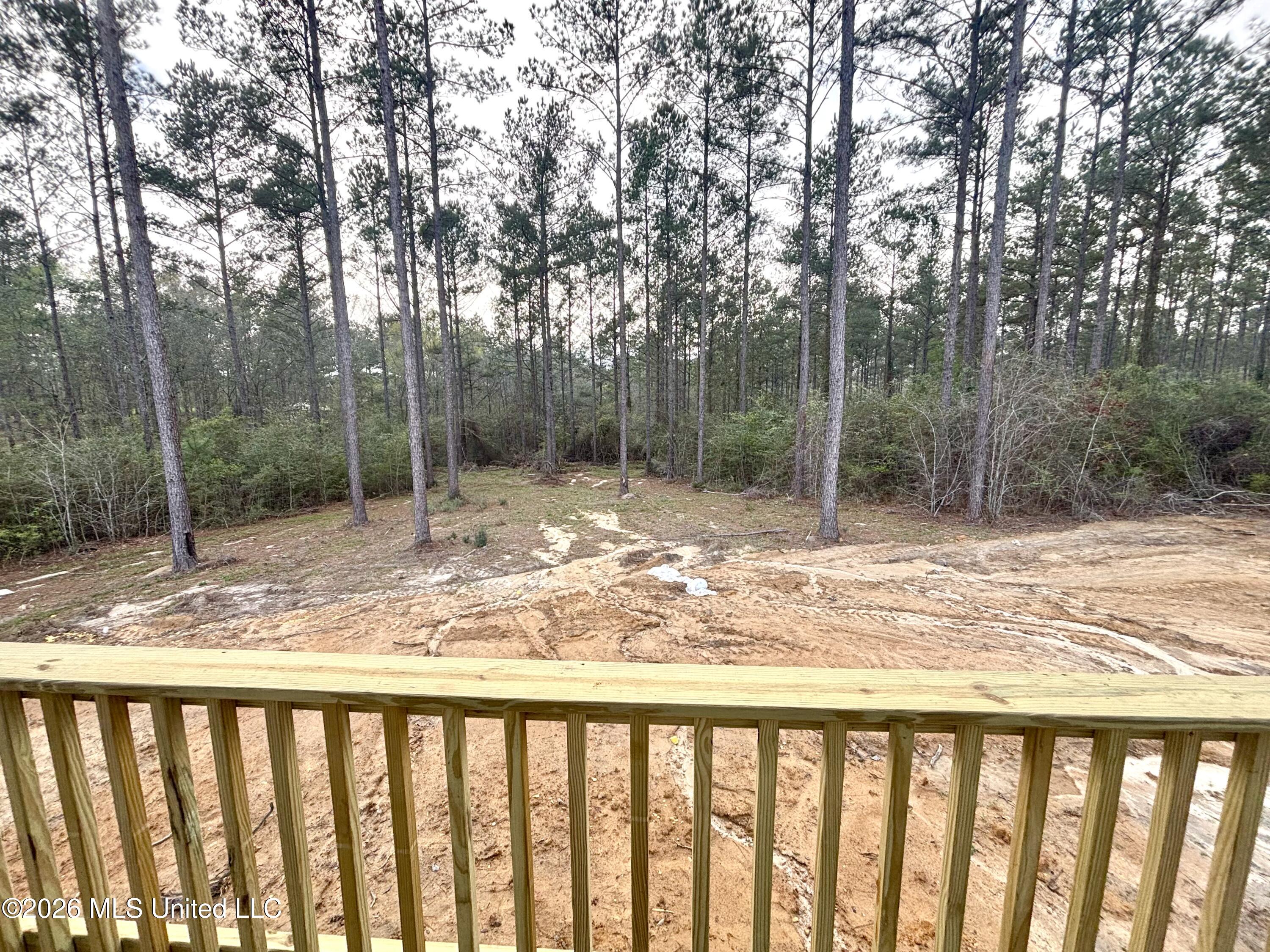 2687 Bouie Road Poplarville, MS 39470 - Photo 25 of 28 IMG_7807