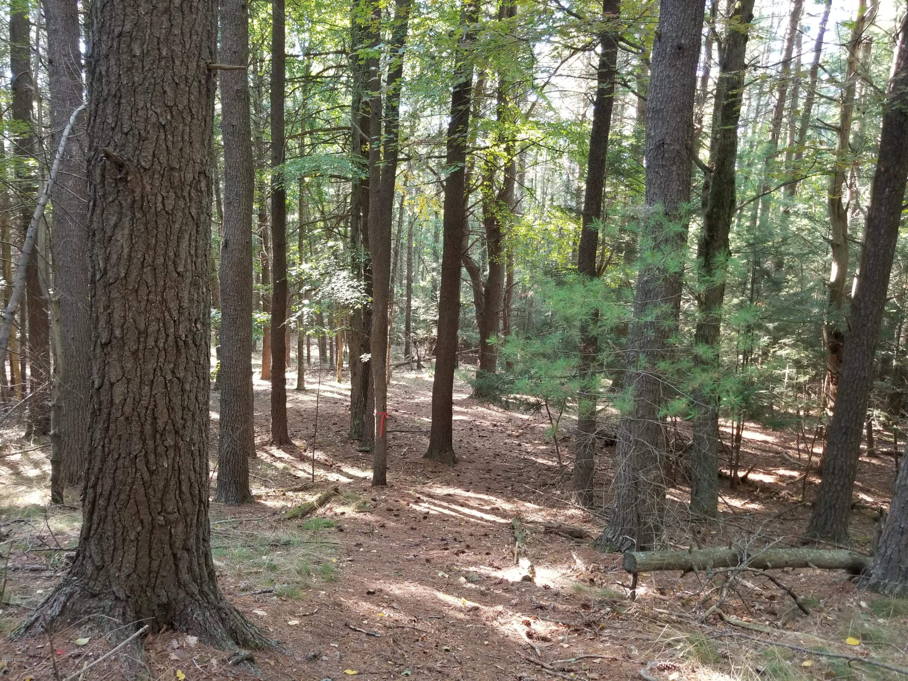 Coutts Point Drive Paupack, PA 18451 - Photo 19 of 22