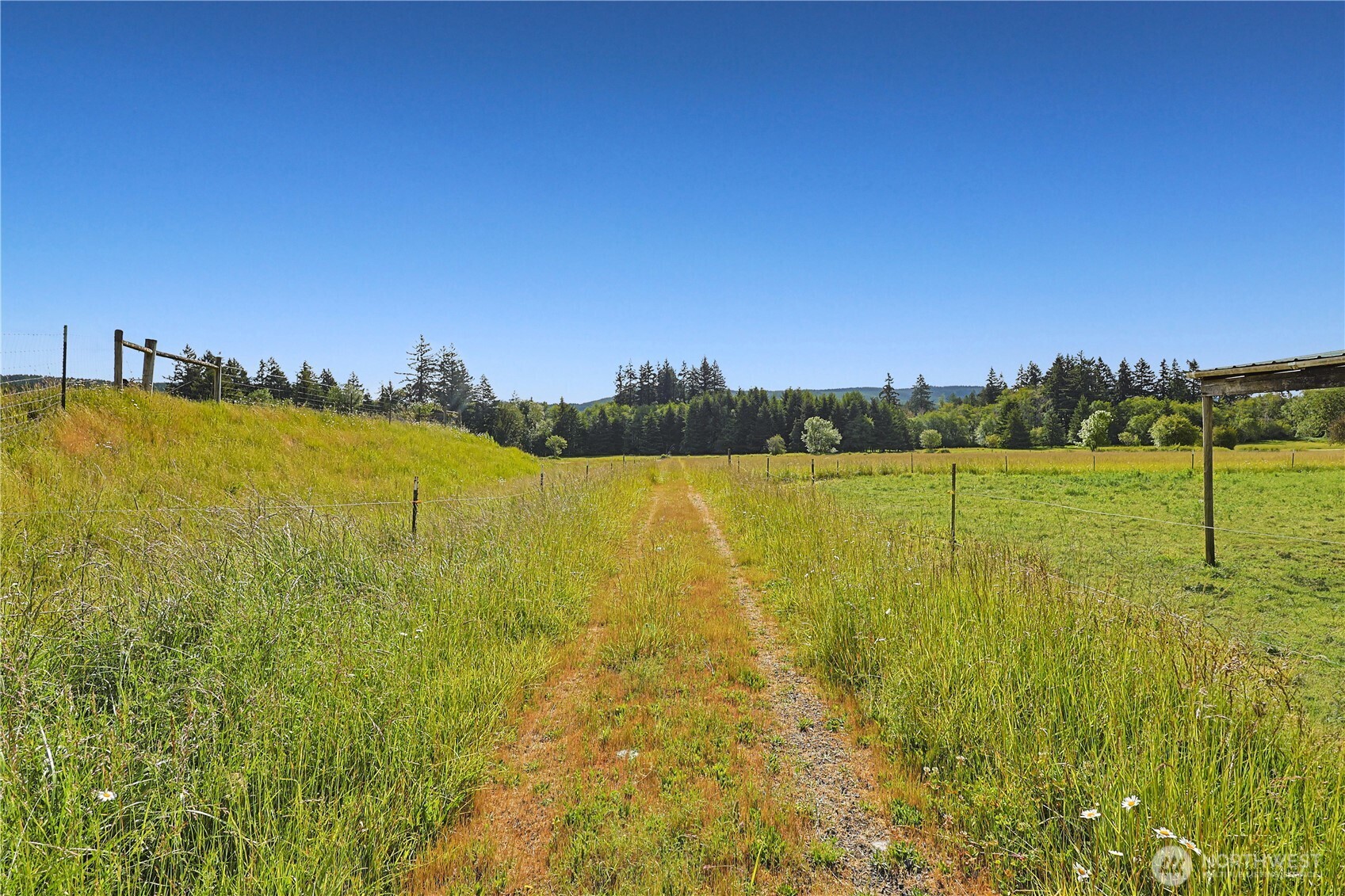 447 Boistfort Road Curtis, WA 98538 - Photo 5 of 40 a view of a lake with a big yard