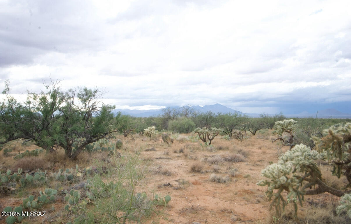 14536 West Diamond Bell Ranch Road, Unit 406 Tucson, AZ 85736 - Photo 7 of 16