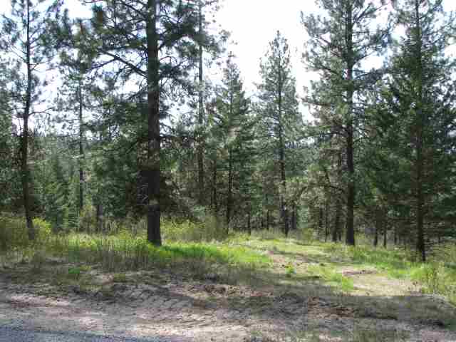 6419 South Linke Road Greenacres, WA 99016 - Photo 5 of 16