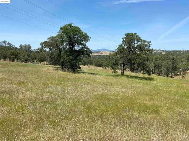 a view of outdoor space with trees all around