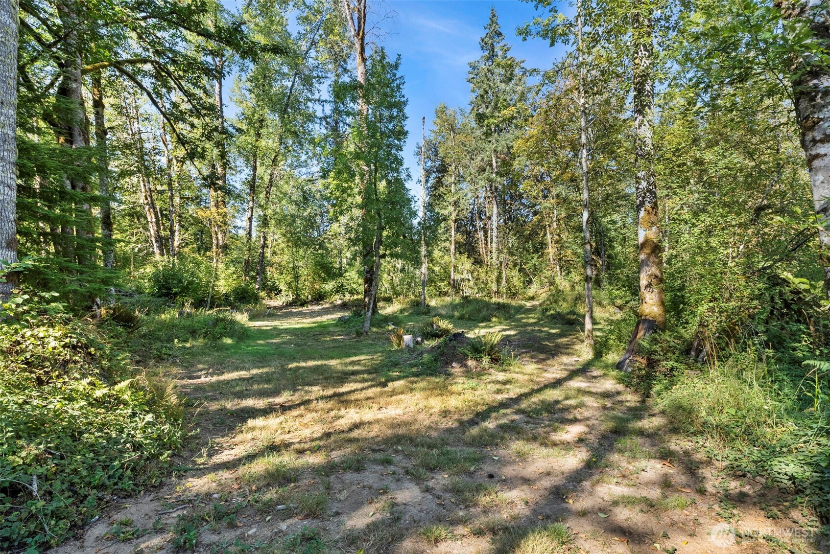 285 Justus Road Cinebar, WA 98533 - Photo 3 of 20 Gallery Image 3