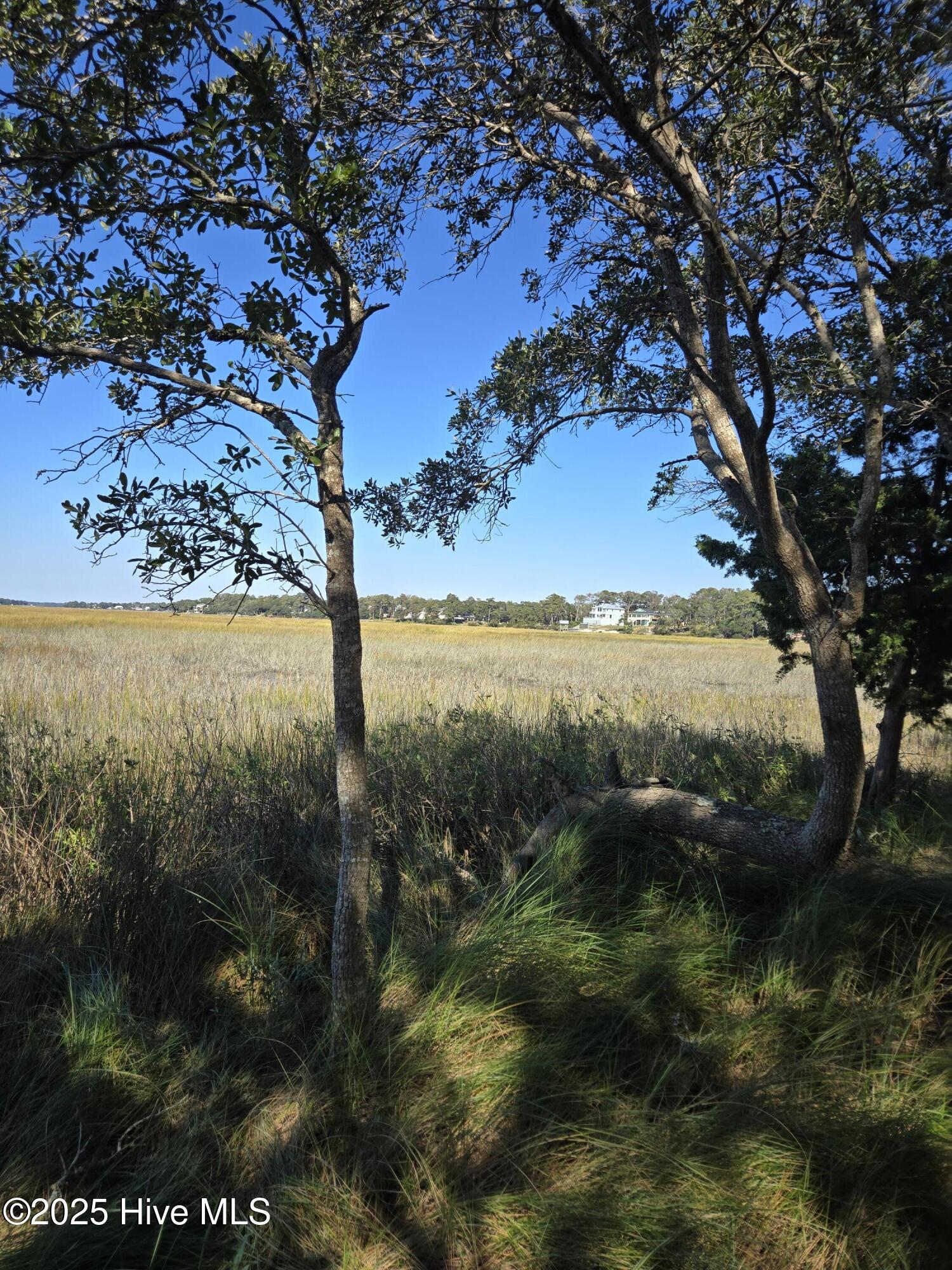 3810 Windy Point Road Southwest Supply, NC 28462 - Photo 11 of 28 Right side of the Marsh North