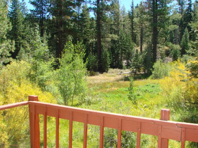 842 Beaver Pond Truckee, CA 96161 - Photo 7 of 10 a view of a yard with a tree