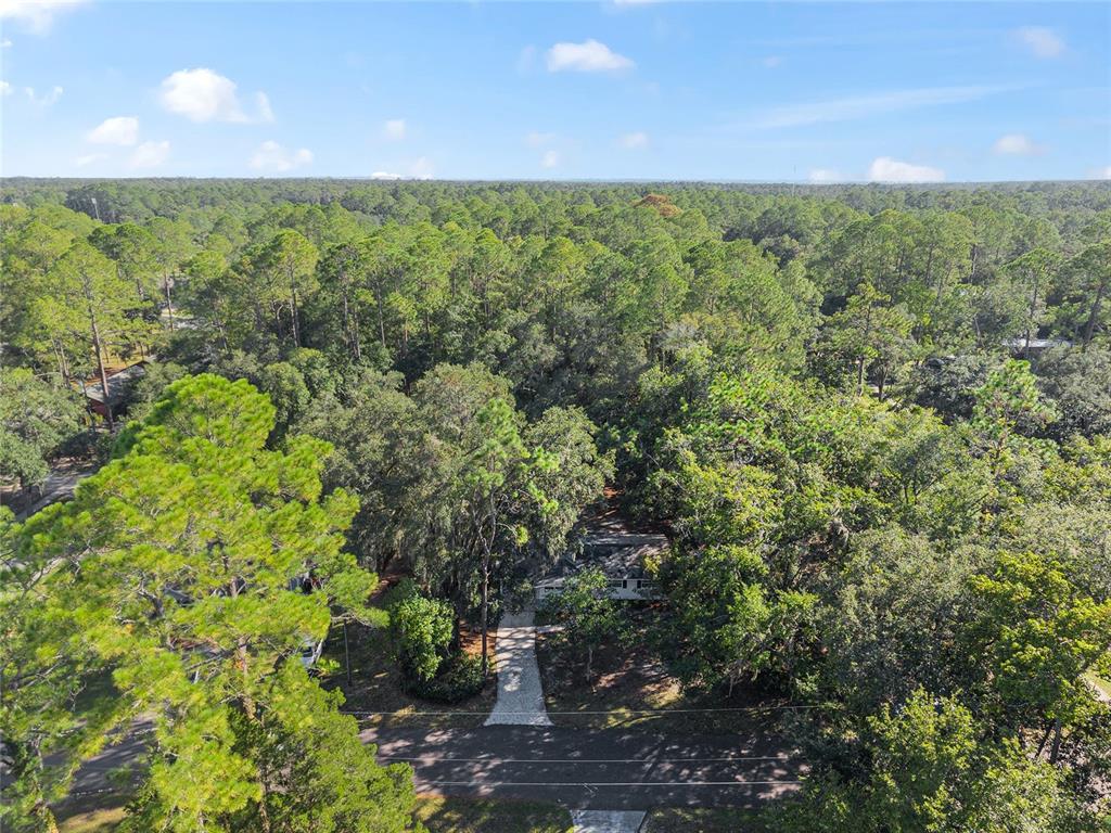 2511 Northeast 3rd Place Gainesville, FL 32641 - Photo 29 of 29 a view of a yard with an outdoor space