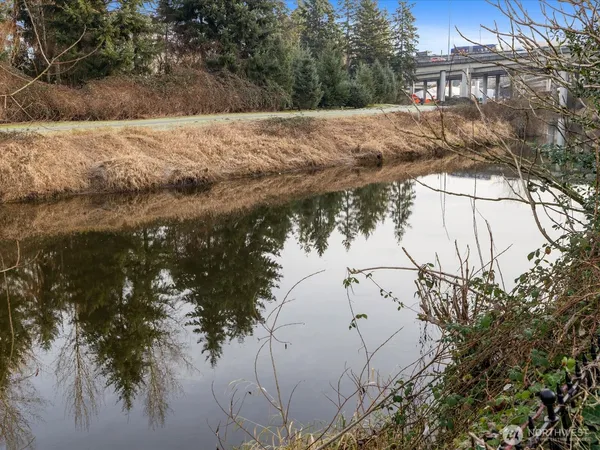 a view of a lake from a yard