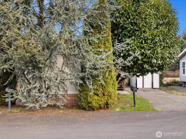 a white house with tall trees