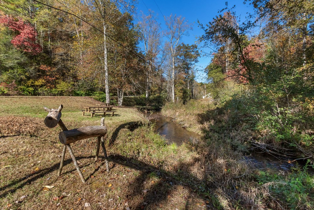 3391 Candy Mountain Road Murphy, NC 28906 - Photo 61 of 62