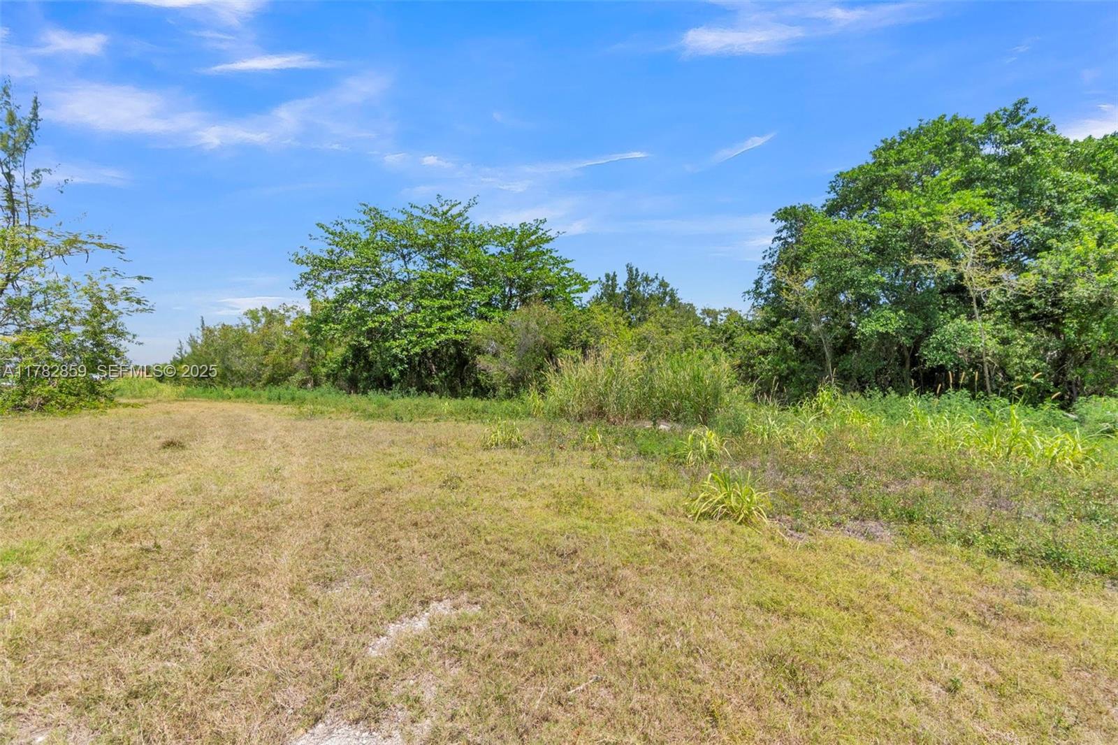 7830 Southwest 199th Terrace Cutler Bay, FL 33189 - Photo 16 of 30 a view of a yard with plants and a tree