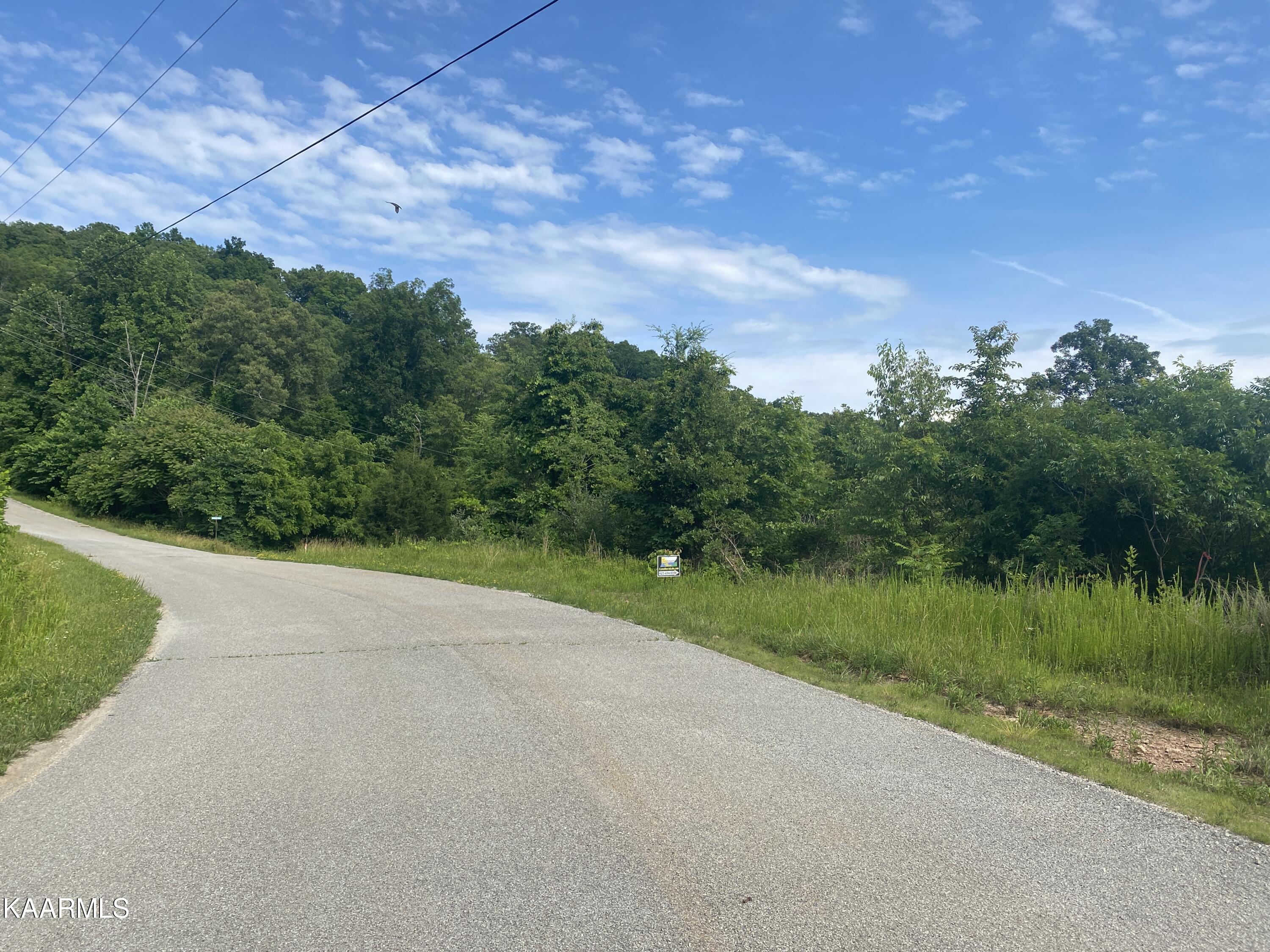 450 Tack Trail Speedwell, TN 37870 - Photo 17 of 60 14b