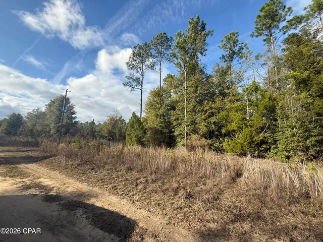 $99,000 | 0 Glenmore Court, Marianna, FL 32446