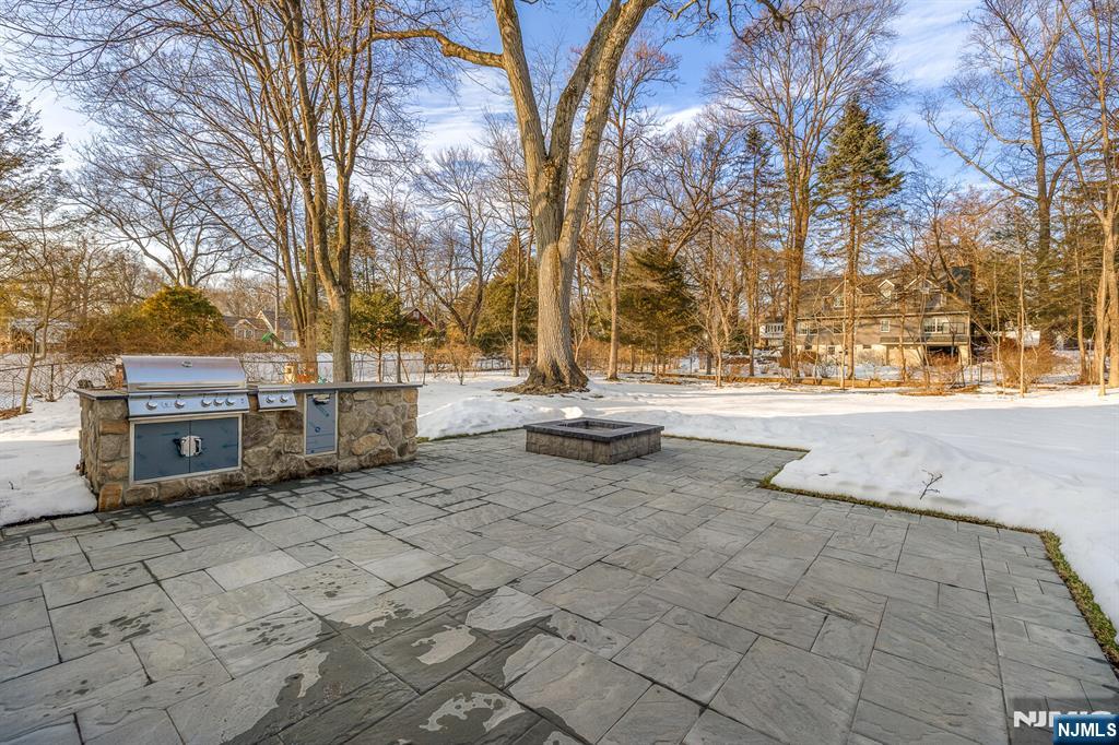 62 Colony Avenue Park Ridge, NJ 07656 - Photo 44 of 50 a view of yard with tree s