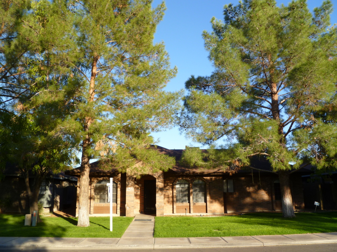 255 North Concord Street Gilbert, AZ 85234 - Photo 1 of 20 front