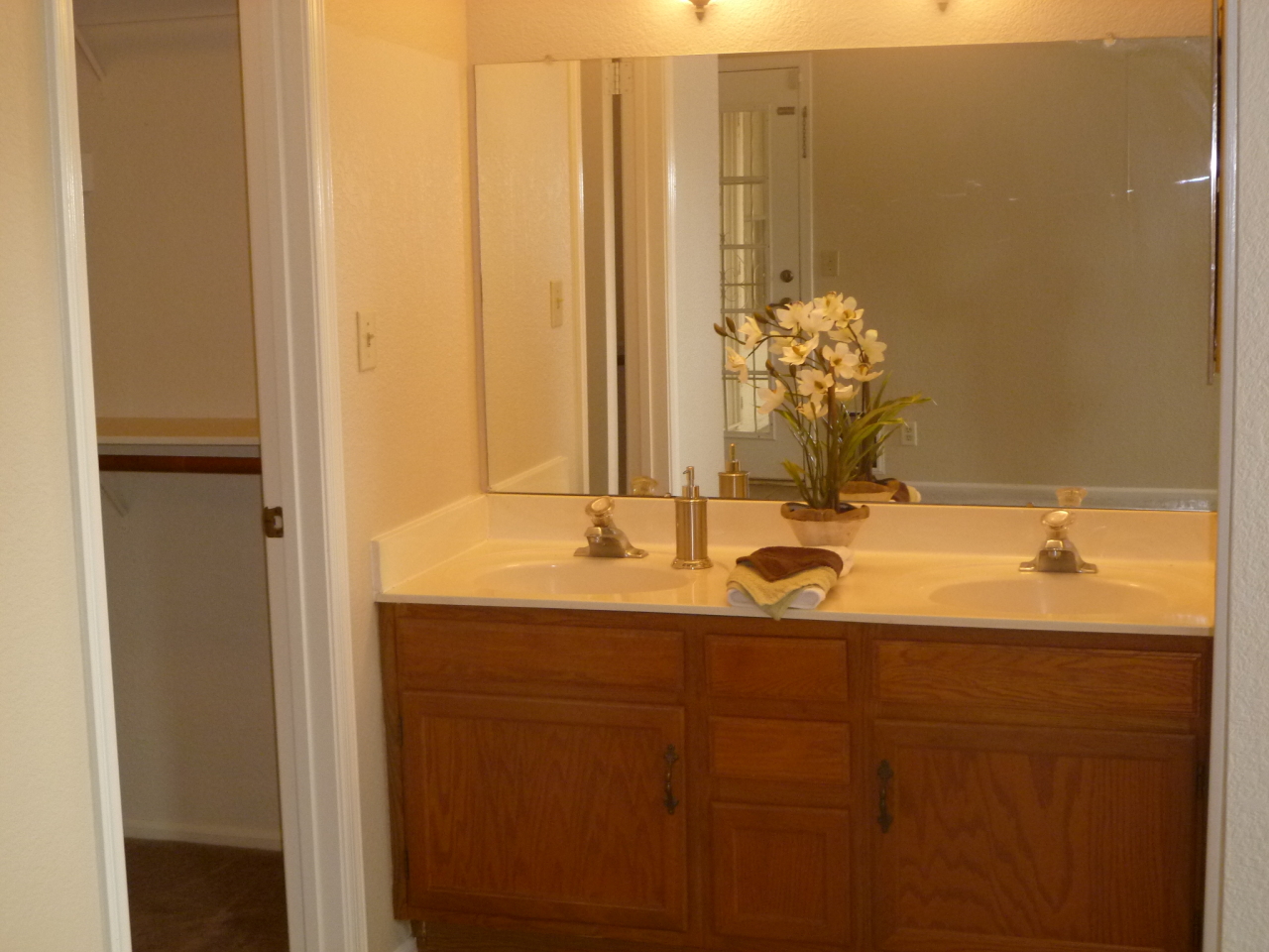 255 North Concord Street Gilbert, AZ 85234 - Photo 11 of 20 master bathroom