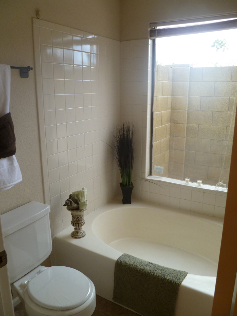 255 North Concord Street Gilbert, AZ 85234 - Photo 12 of 20 a bathroom with a toilet and a shower