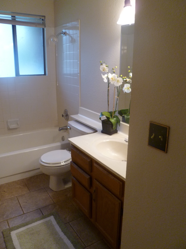 255 North Concord Street Gilbert, AZ 85234 - Photo 15 of 20 a bathroom with a sink a toilet and a bathtub