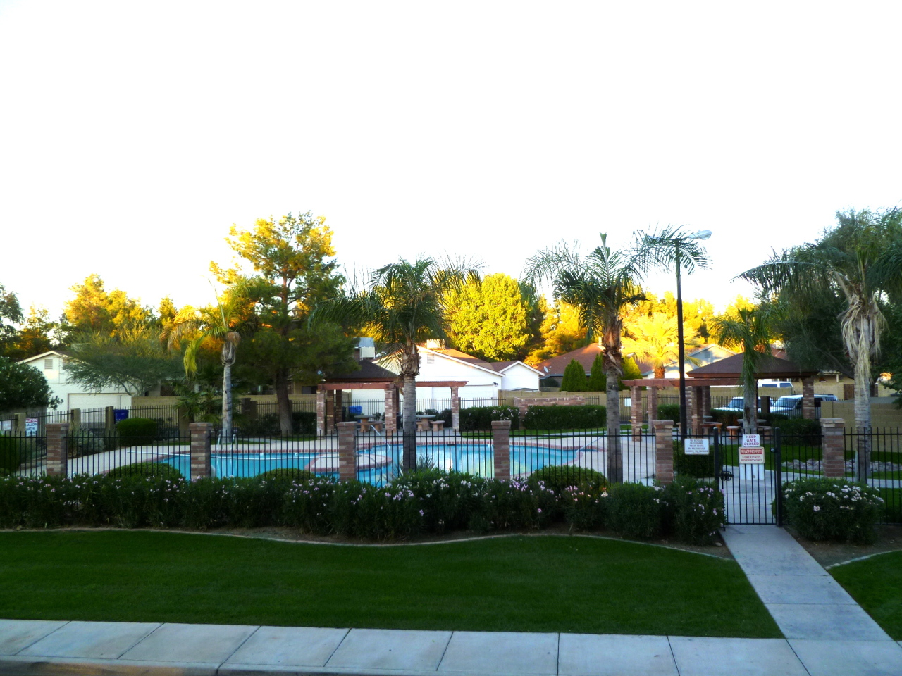 255 North Concord Street Gilbert, AZ 85234 - Photo 20 of 20 a view of house with garden and trees