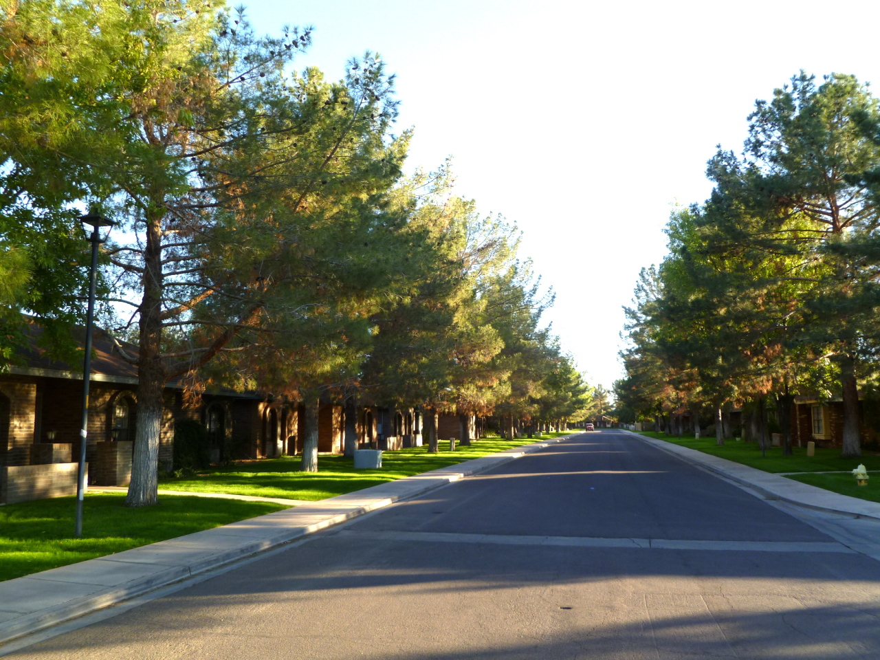 255 North Concord Street Gilbert, AZ 85234 - Photo 3 of 20 a view of a street