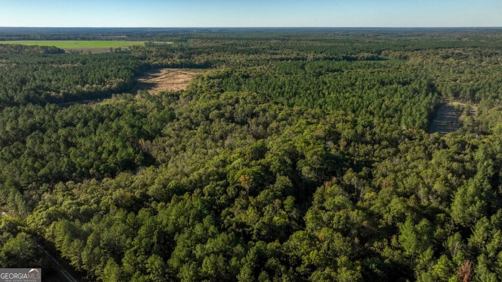 2 Old Savannah Road, Unit TRACT 2 Millen, GA 30442 - Photo 22 of 28