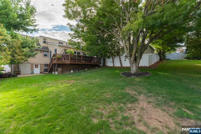 a view of a backyard with large trees