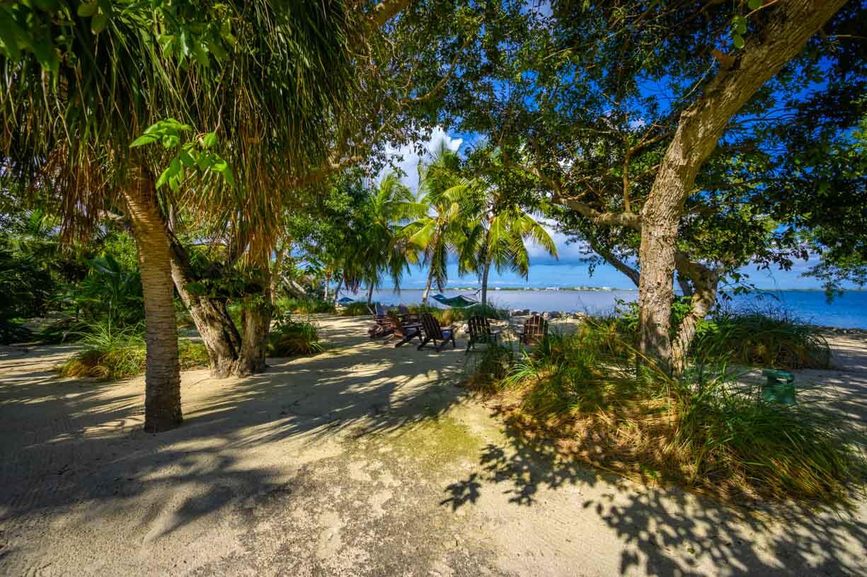 30680 Winifred Street Big Pine Key, FL 33043 - Photo 59 of 73 Side Yard