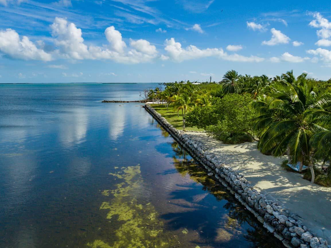 30680 Winifred Street Big Pine Key, FL 33043 - Photo 64 of 73 a view of a lake with a big yard