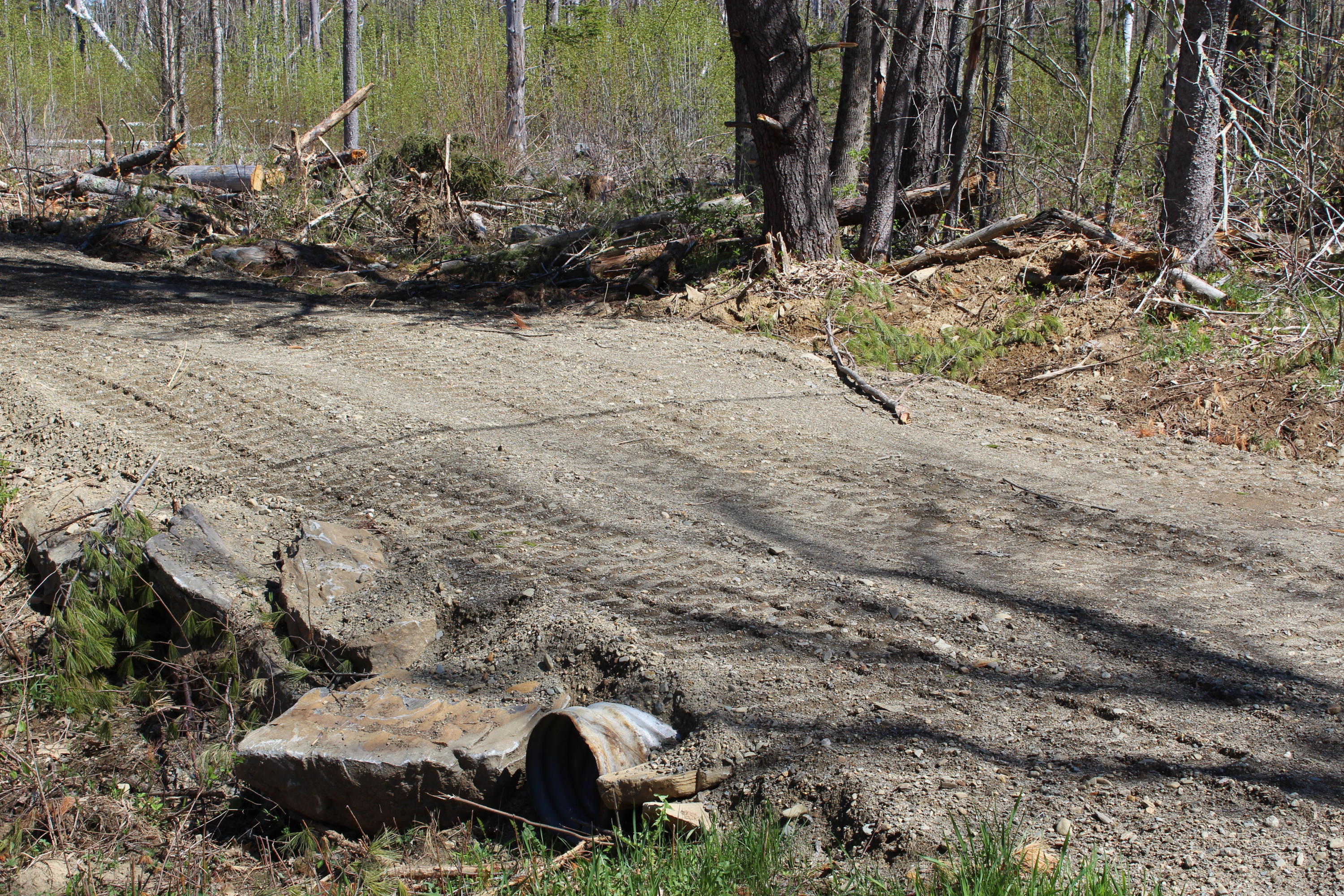 Parcel A Kendall Corner Road Belfast, ME 04915 - Photo 2 of 4 IMG_0464