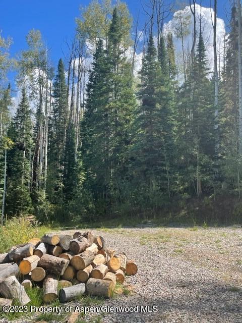 0 East Divide Creek Road New Castle, CO 81647 - Photo 16 of 45 1