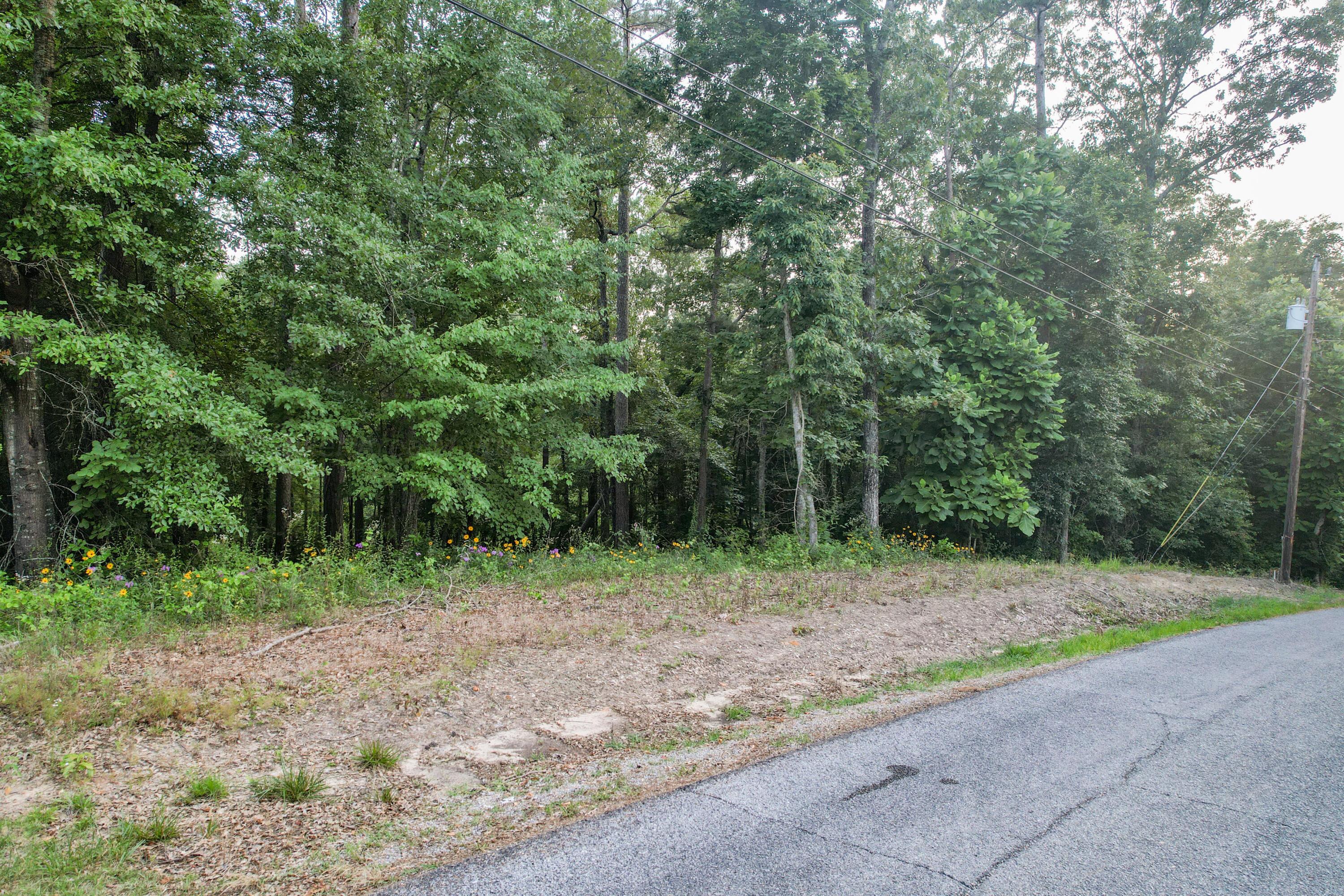 Lot 2 Pinedale Shores Road Jasper, AL 35503 - Photo 9 of 24 Gallery Image 9