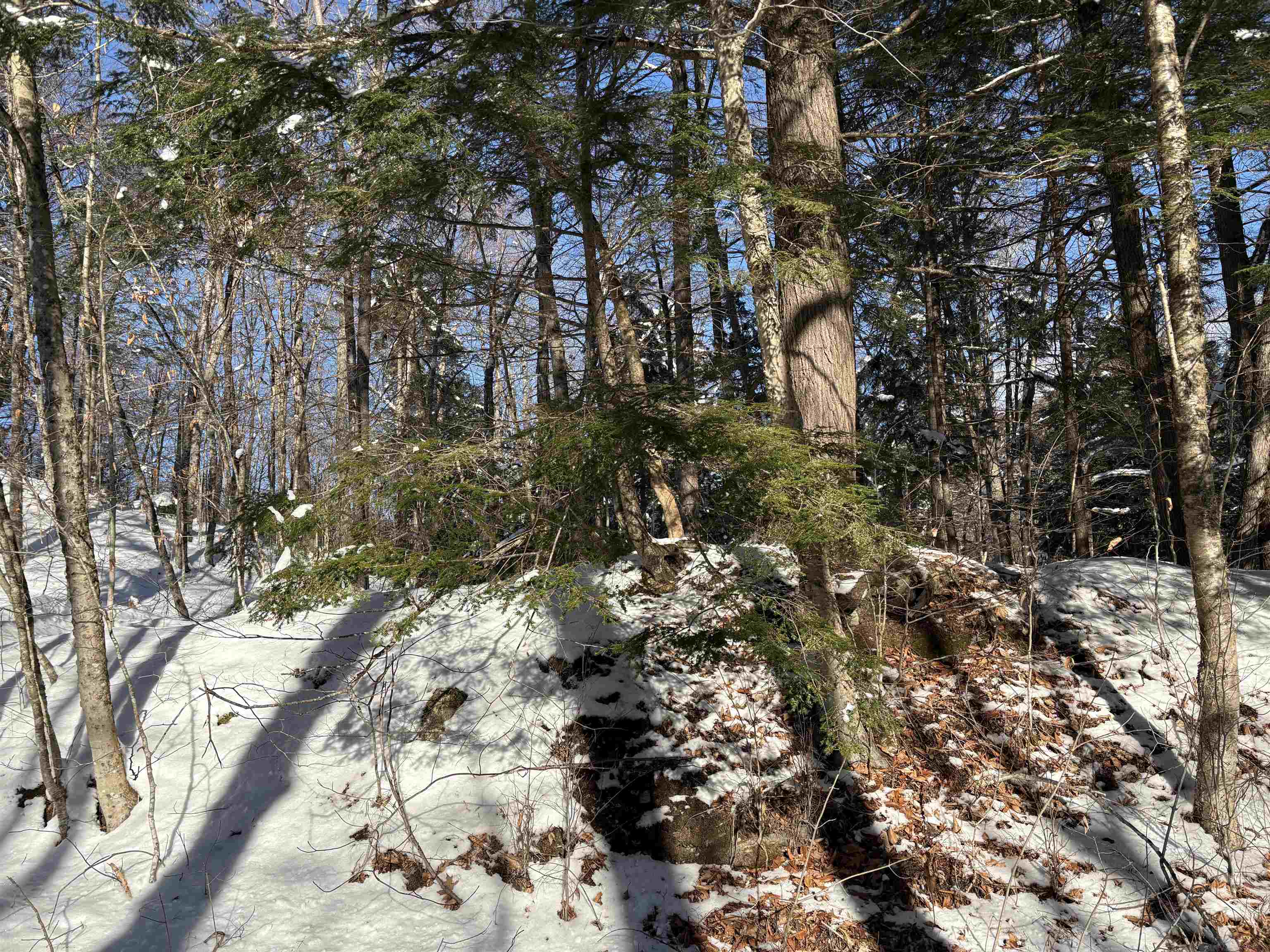1287 Dublin Road Plymouth, VT 05149 - Photo 6 of 22 Gallery Image 6