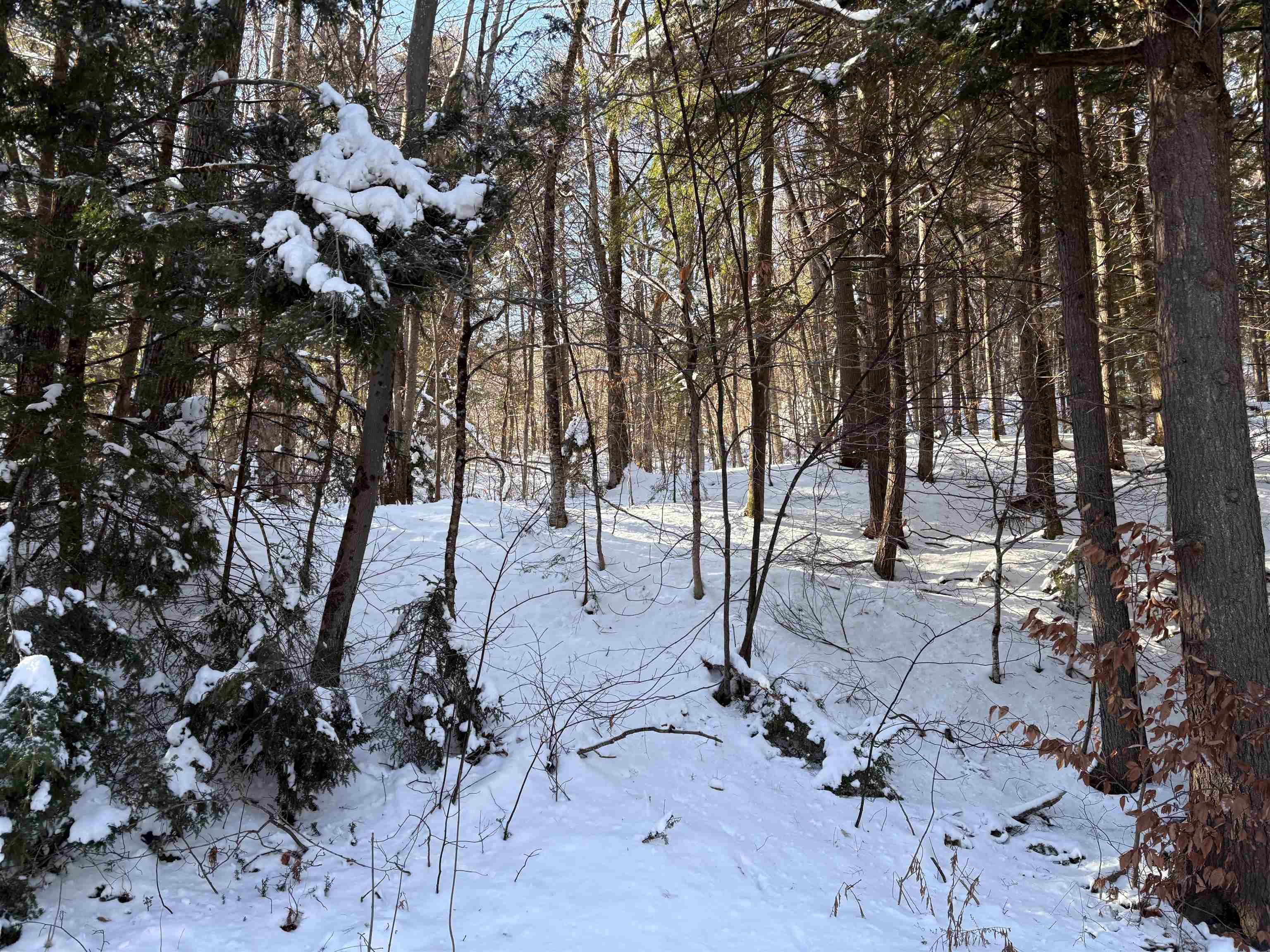 1287 Dublin Road Plymouth, VT 05149 - Photo 8 of 22 Gallery Image 8
