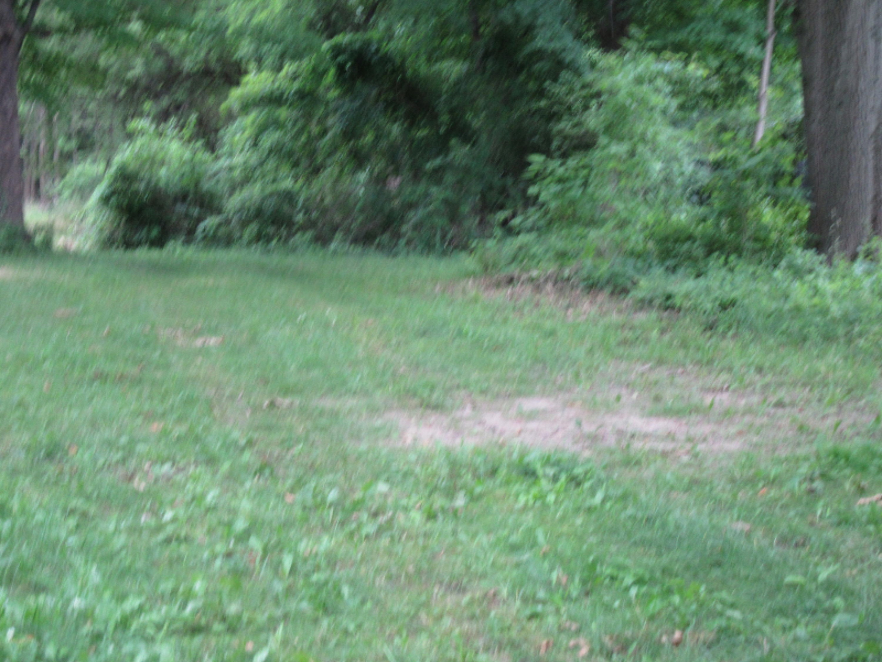 7902 Forest Beach Road Watervliet, MI 49098 - Photo 2 of 2 IMG_0944