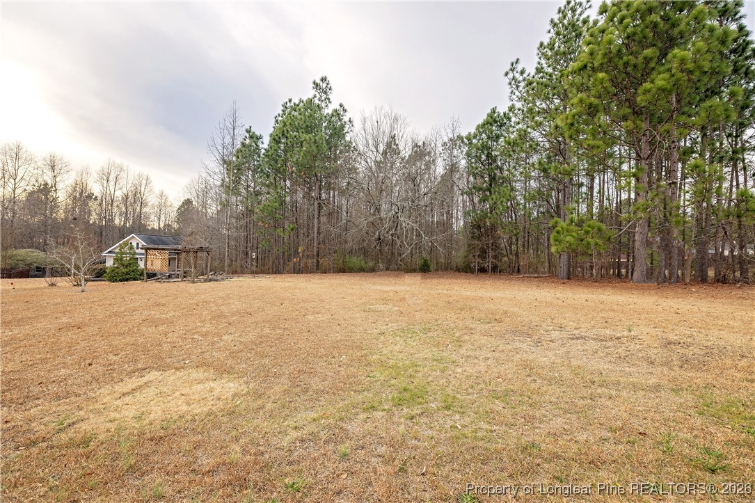 298 Porlock Way Raeford, NC 28376 - Photo 47 of 49