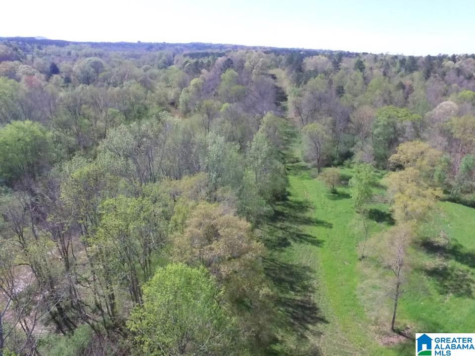 0 County Road 60, Unit 1 Heflin, AL 36264 - Photo 5 of 14