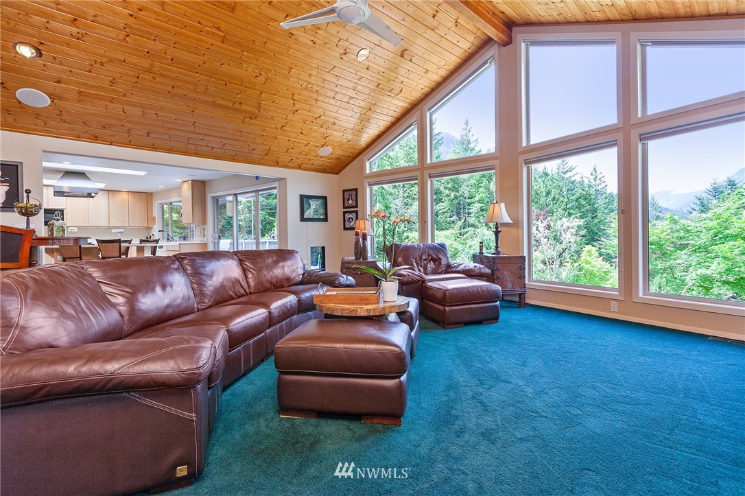 222 Sickel Loop Road Brinnon, WA 98320 - Photo 4 of 25 Gallery Image 4