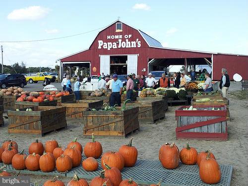 517 Pasture Brook Road Severn, MD 21144 - Photo 22 of 23 Community Farmers market