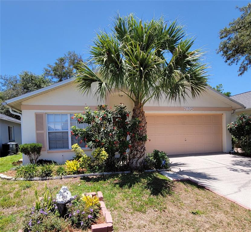 7805 Barclay Road New Port Richey, FL 34654 - Photo 1 of 1 Gallery Image 1